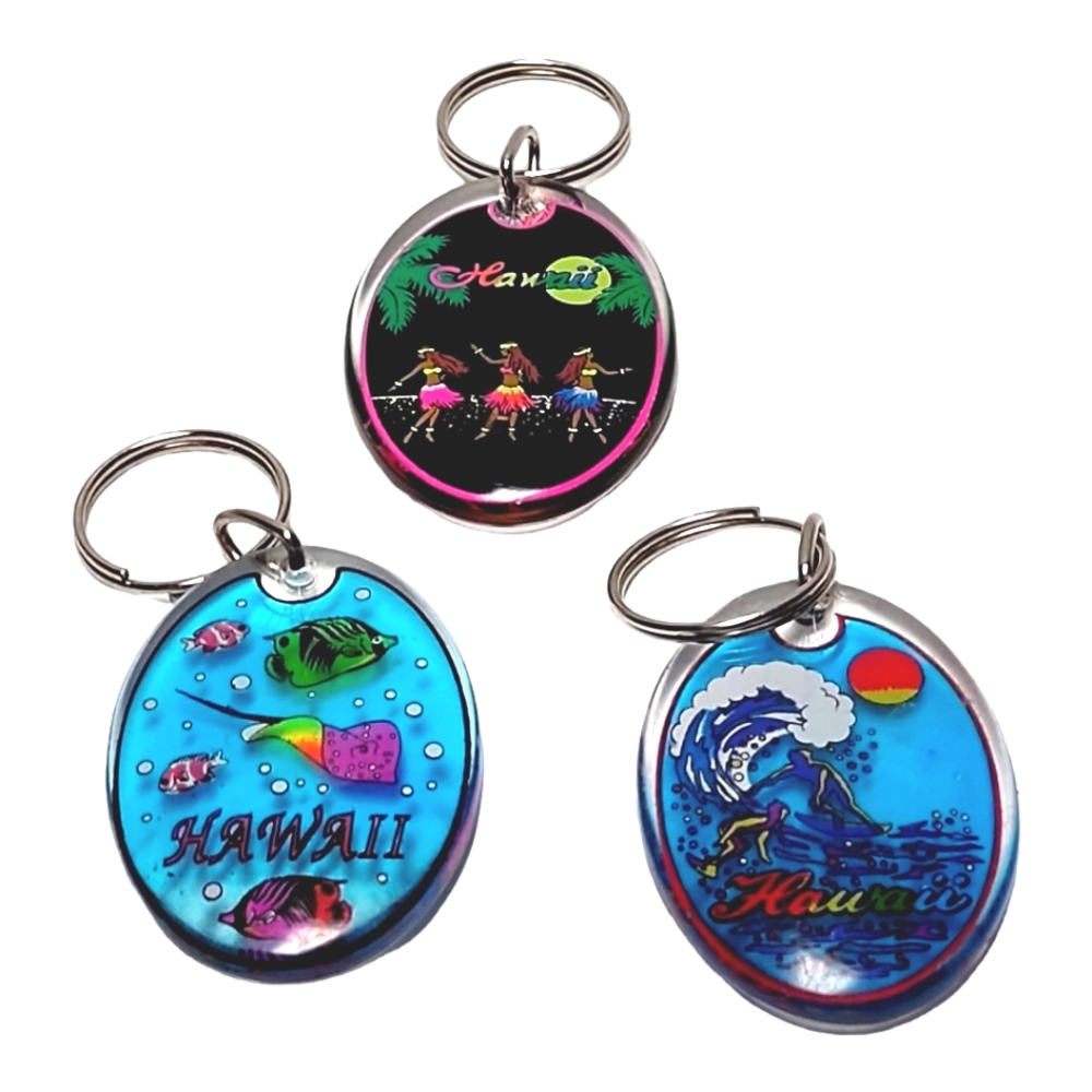 Hawaii Key Chain Or Craft Charm Accent Bundle Of Three View 3